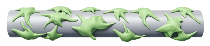 The same template with cells already grown on its surface
