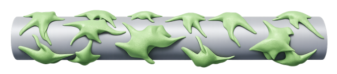 OXA template with cells grown on its surface